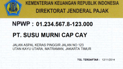 Cara Membuat NPWP Badan Usaha Online via Coretax